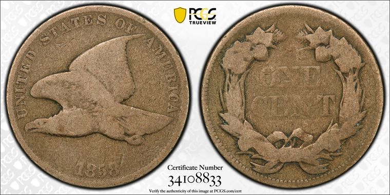 Cert 34108833 - Coin Image