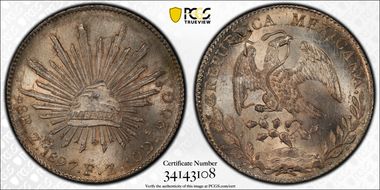 1897-Zs FZ 8 R Zs83 N1