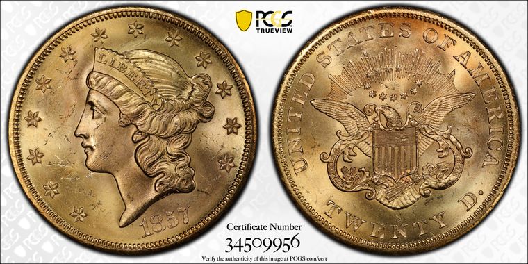 Cert 34509956 - Coin Image