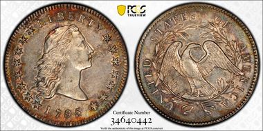 1795 $1 Flowing Hair, 2 Leaves AU58