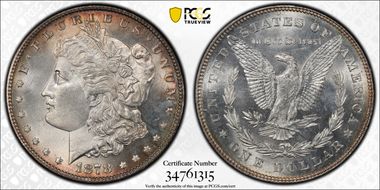 1878 7TF $1 VAM 81, Polished Ear MS65
