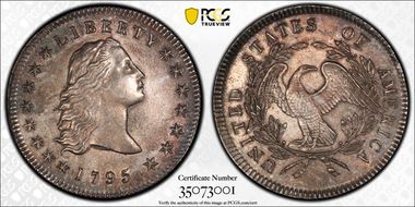 1795 $1 Flowing Hair, 3 Leaves AU55