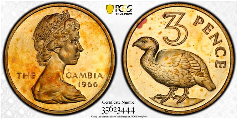 Cert 35623444 - Coin Image