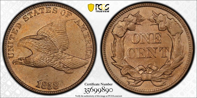 Cert 35699890 - Coin Image