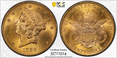 1899 $20 MS64