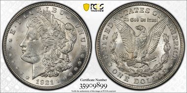 1921 $1 Morgan, Pitted Reverse MS64