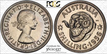 1956(m) Shil PR66