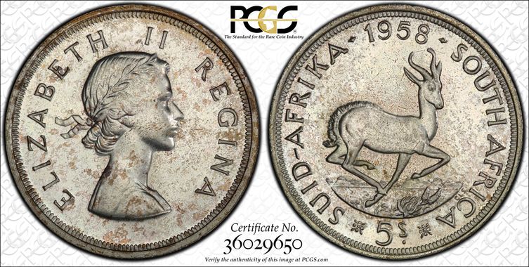 Cert 36029650 - Coin Image