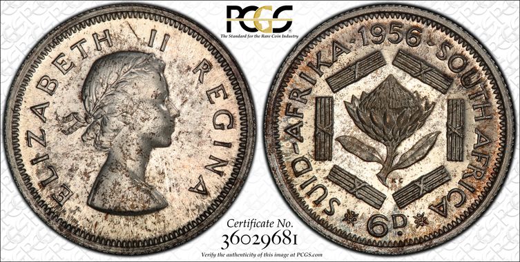 Cert 36029681 - Coin Image