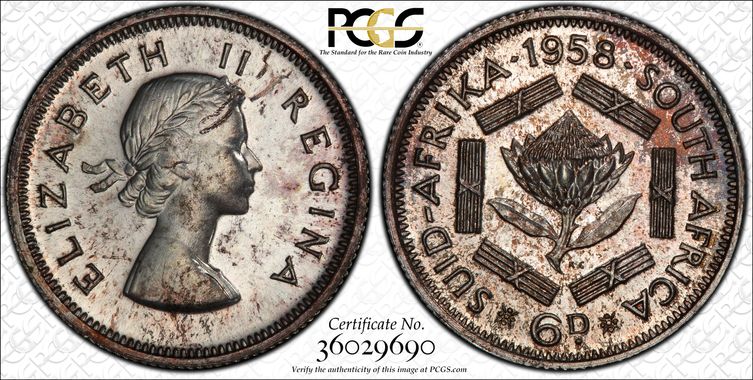 Cert 36029690 - Coin Image