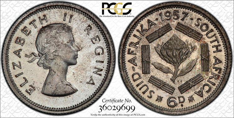 Cert 36029699 - Coin Image