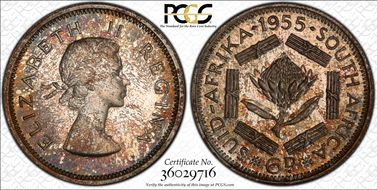 1955 6D PR66