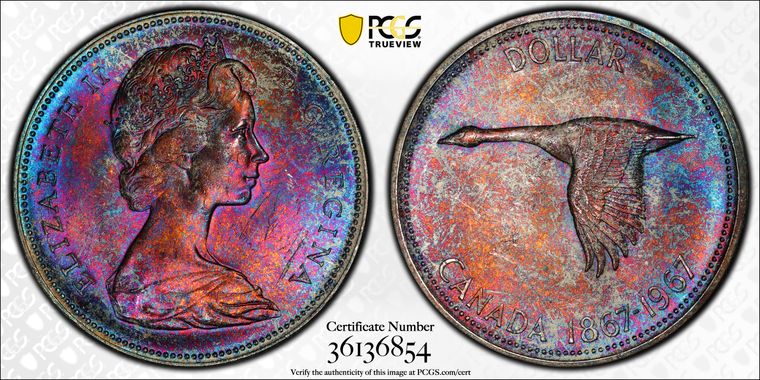 Cert 36136854 - Coin Image