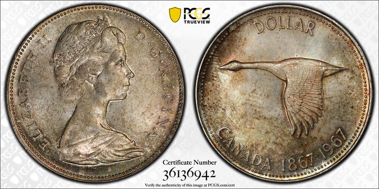 Cert 36136942 - Coin Image