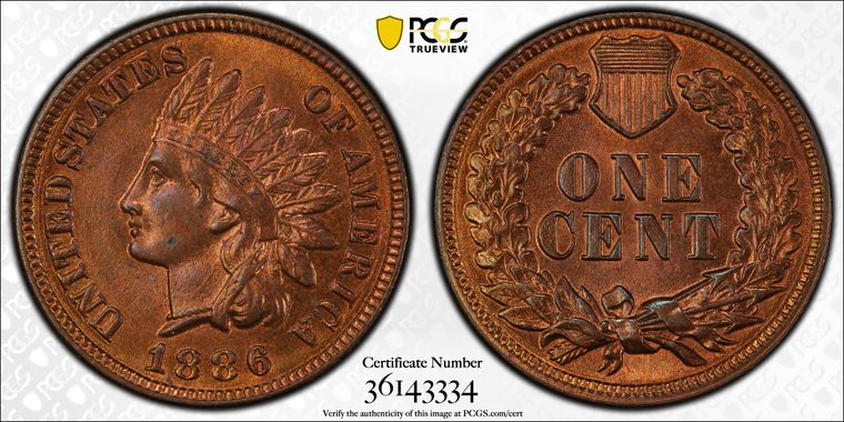 Cert 36143334 - Coin Image