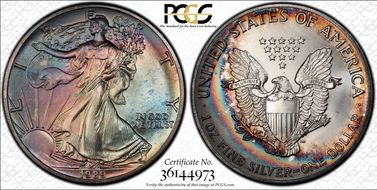 1989 $1 Silver Eagle MS67