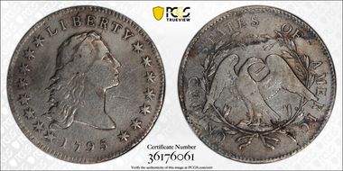 1795 $1 Flowing Hair, 2 Leaves N1