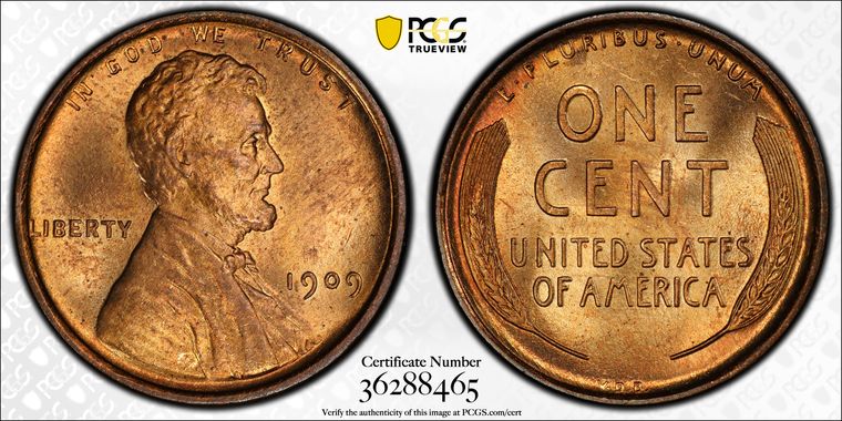 Cert 36288465 - Coin Image