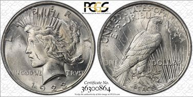 1923 $1 VAM 1D, Whisker Cheek MS62