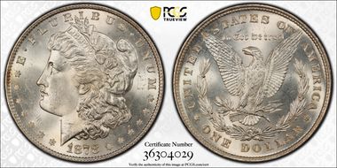 1878 8TF $1 VAM 14.2 Polished Ear MS65