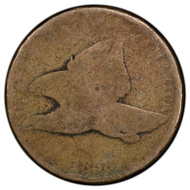 Cert 36367619 - Coin Image