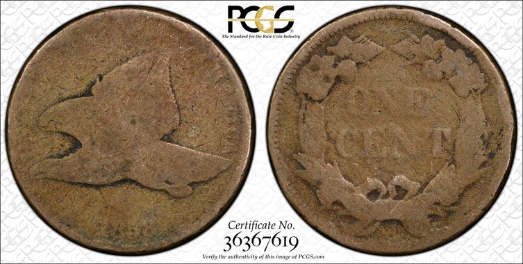 Cert 36367619 - Coin Image