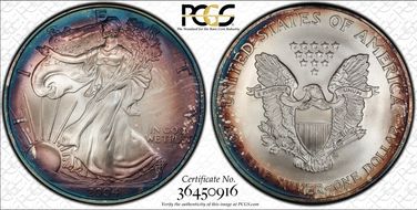 2004 $1 Silver Eagle MS67