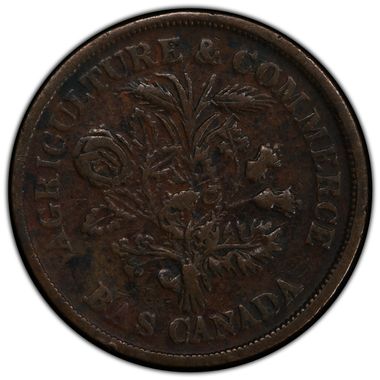 Cert 36466909 - Coin Image