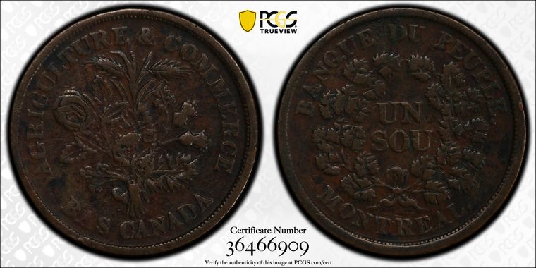 Cert 36466909 - Coin Image