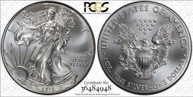 2013 $1 Silver Eagle MS70