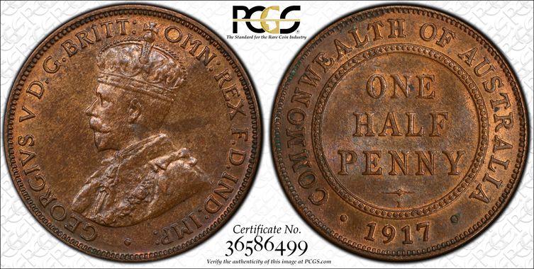 Cert 36586499 - Coin Image