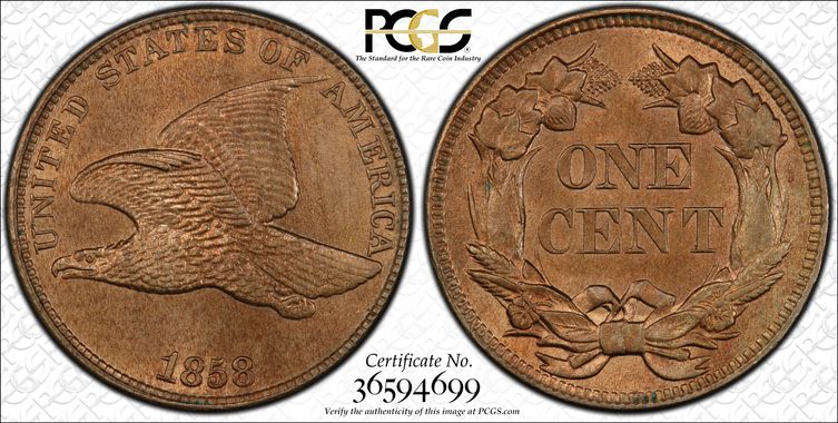 Cert 36594699 - Coin Image