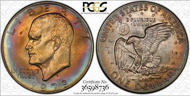 1973-D $1 MS64
