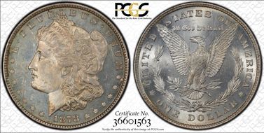 1878 8TF $1 VAM 14.11 Wild Eye MS65