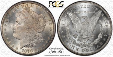 1878-CC $1 VAM 11, Lines in Wing MS64