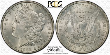 1902-O $1 VAM 54 Doubled Ear MS64