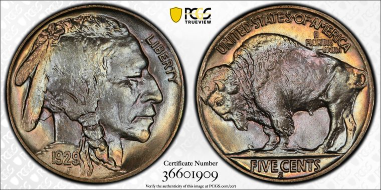 Cert 36601909 - Coin Image