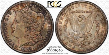 1891-CC $1 VAM 7, Spitting Eagle MS64