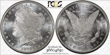 1878-CC $1 VAM 11, Lines in Wing MS65