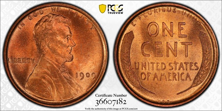 Cert 36607182 - Coin Image