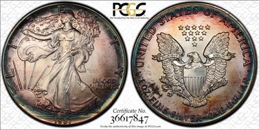 1987 $1 Silver Eagle MS67