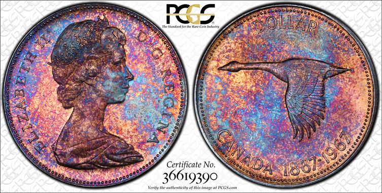 Cert 36619390 - Coin Image