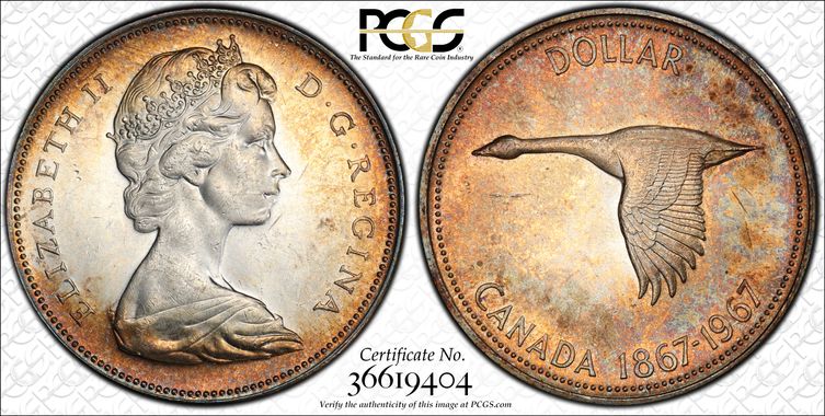 Cert 36619404 - Coin Image