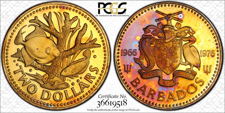 Cert 36619518 - Coin Image