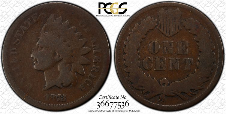 Cert 36677536 - Coin Image