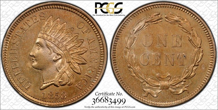 Cert 36683499 - Coin Image