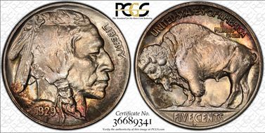 1929-D 5C MS66+