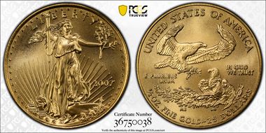 2007 $25 Gold Eagle MS70
