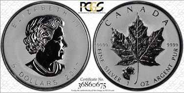 2017 $5 ML Cougar Privy SP69