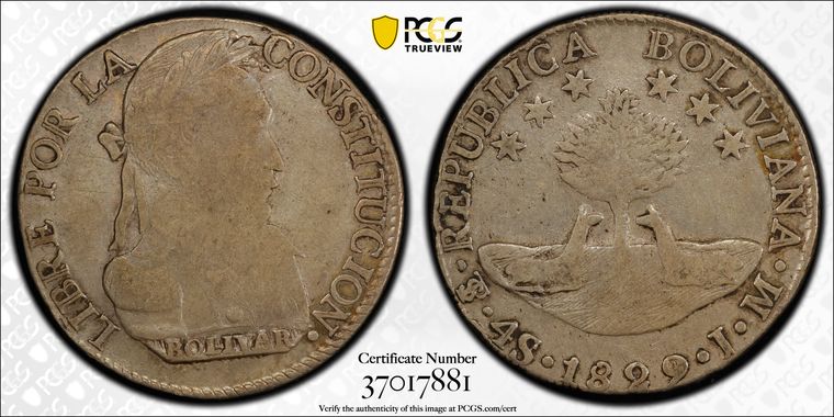 Cert 37017881 - Coin Image